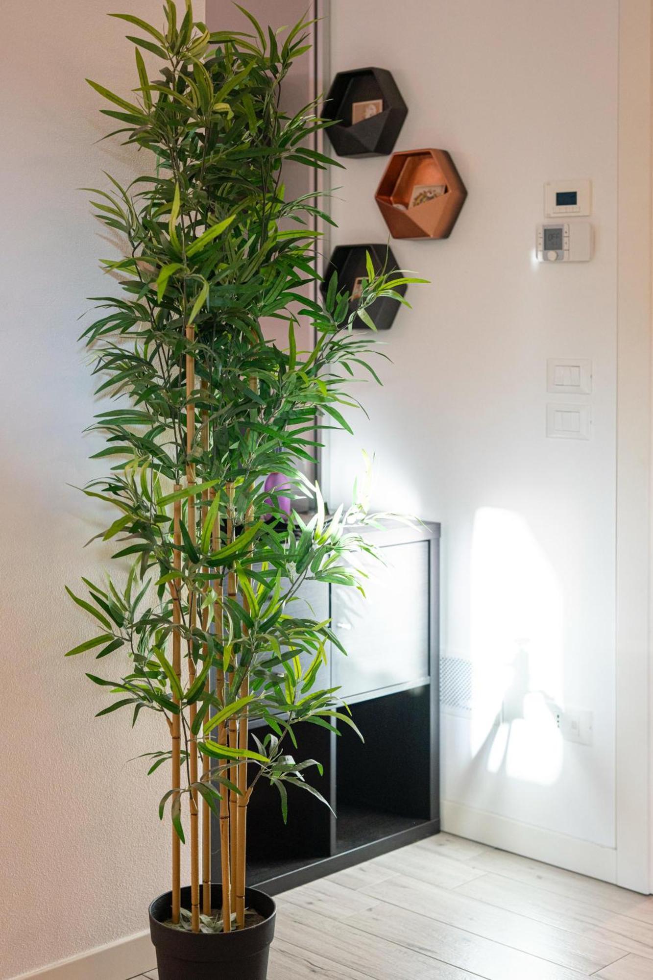 Vera Home Savignano sul Rubicone Exterior foto